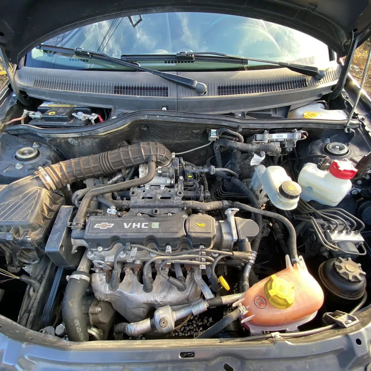 WhatsApp Image 2023-07-16 at 22.45.57